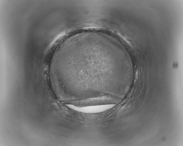 X0000093471351200711021222