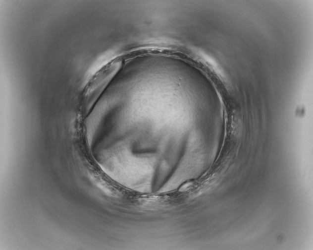 X0000093471352200711021222