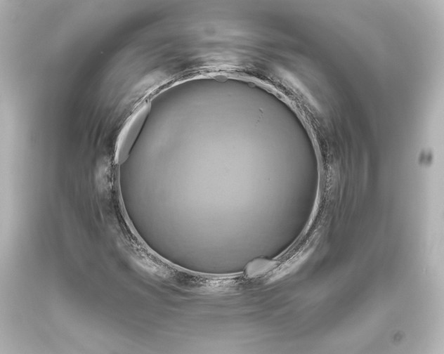 X0000093471353200711021222