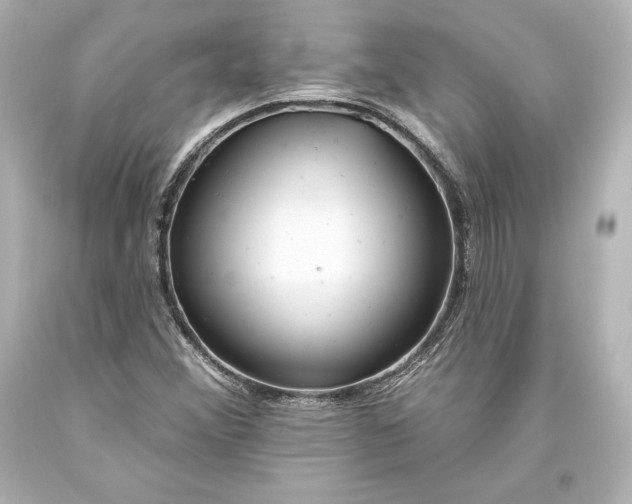 X0000093471356200711021222