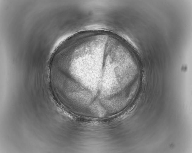 X0000093471358200711021222