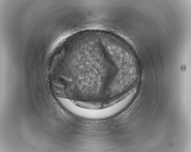 X0000093471359200711021222