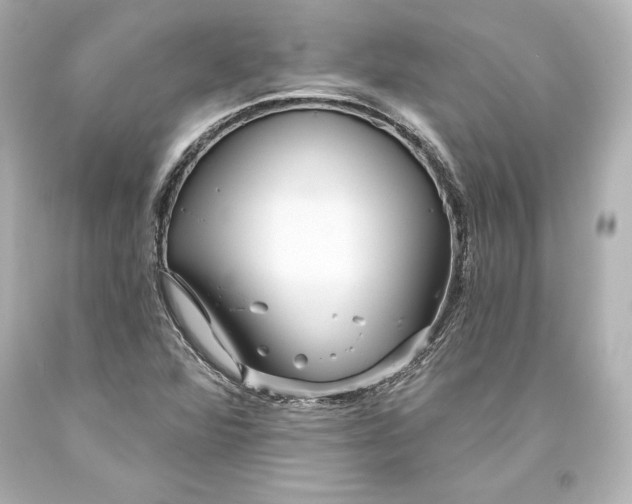 X0000093471360200711021222