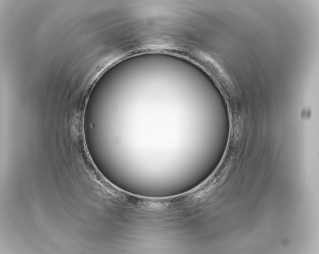 X0000093471361200711021222