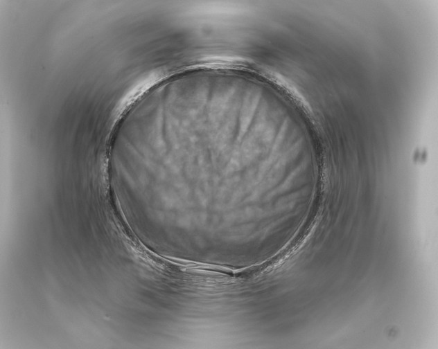 X0000093471362200711021222