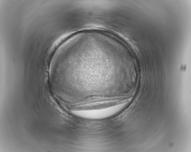 X0000093471363200711021222