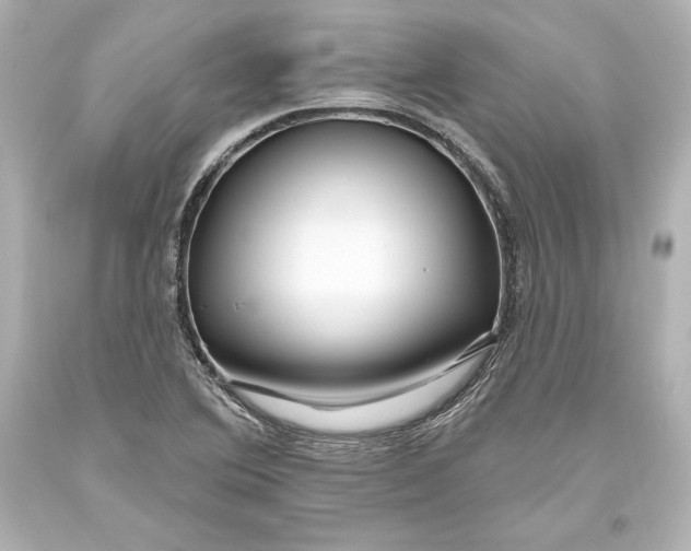 X0000093471364200711021222