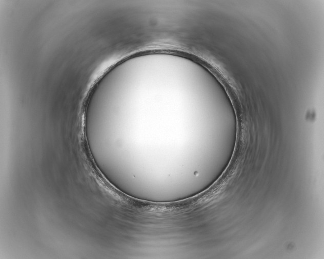 X0000093471366200711021222