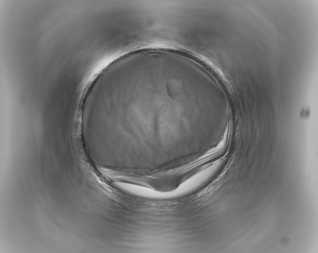 X0000093471367200711021222