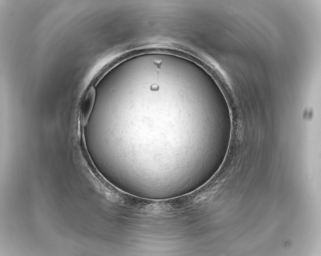 X0000093471368200711021222