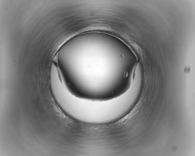 X0000093471369200711021222