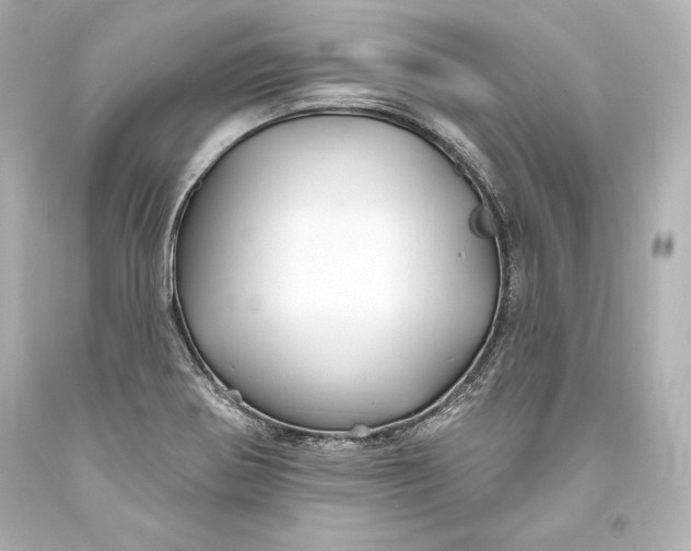 X0000093471370200711021222