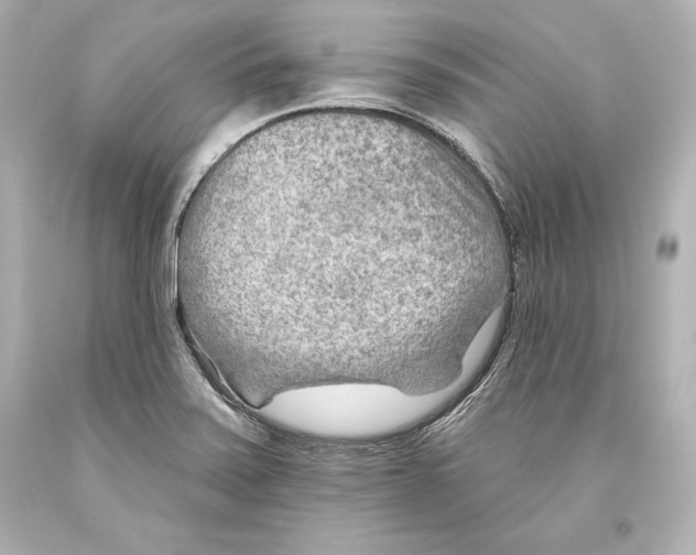 X0000093471371200711021222