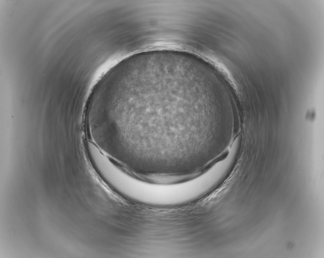 X0000093471373200711021222