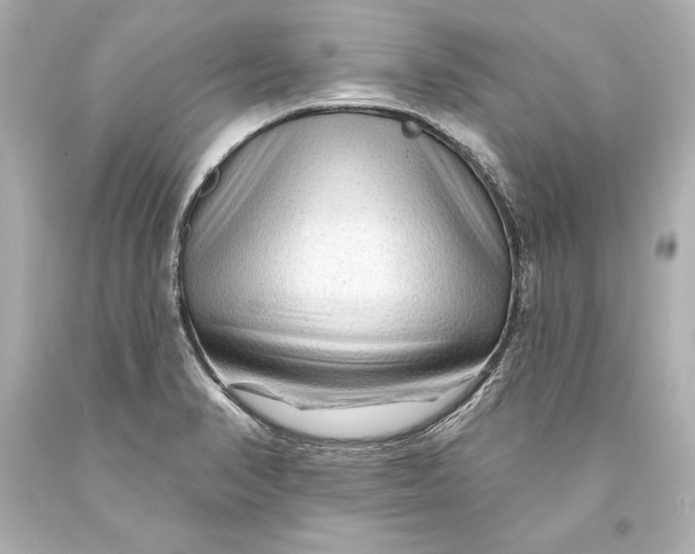 X0000093471374200711021222