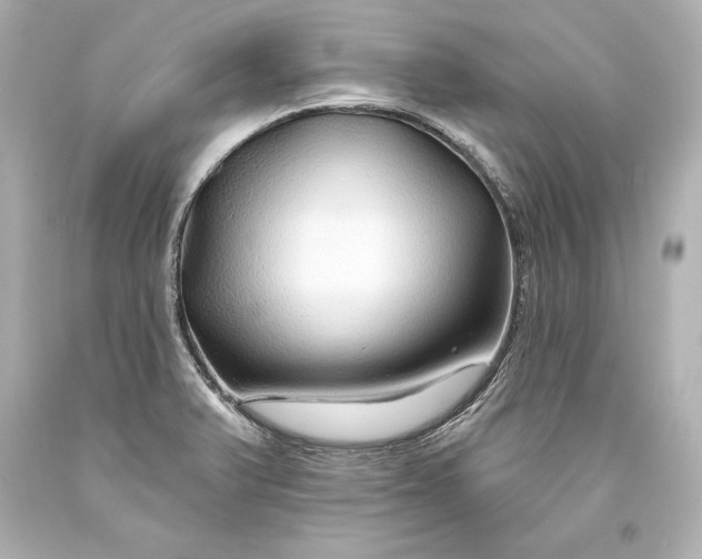 X0000093471375200711021222