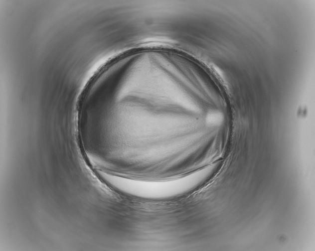 X0000093471376200711021222