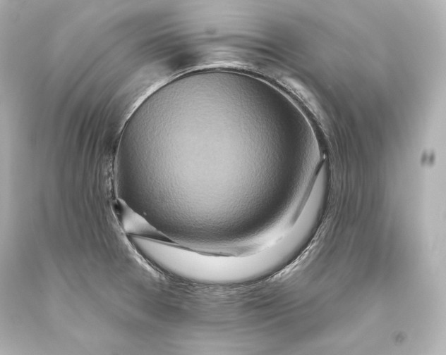 X0000093471377200711021222