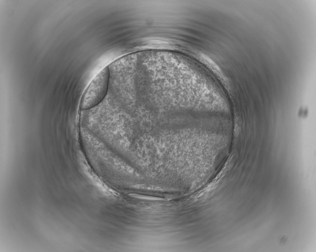 X0000093471378200711021222