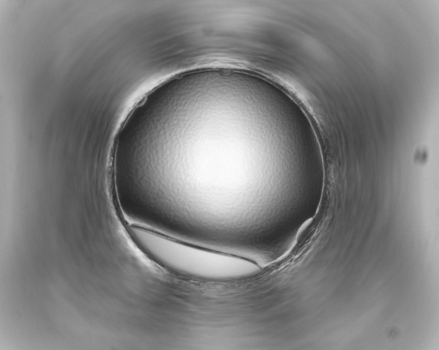 X0000093471379200711021222