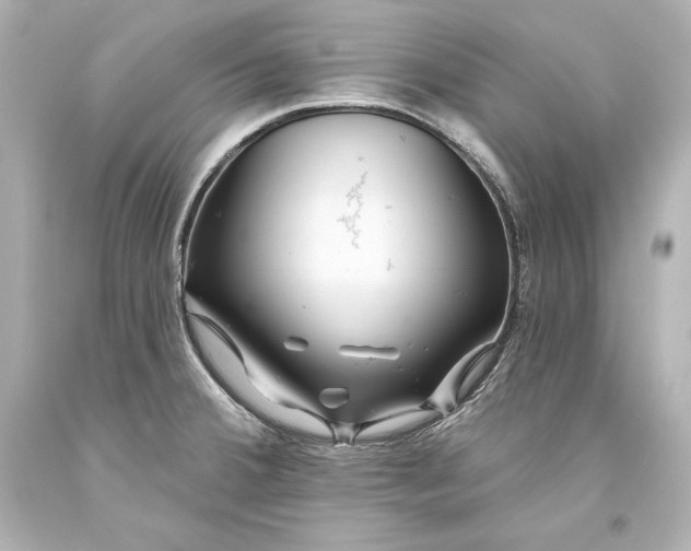 X0000093471380200711021222