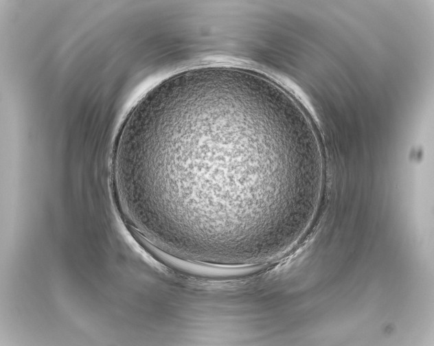 X0000093471381200711021222