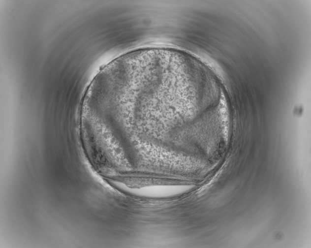 X0000093471382200711021222