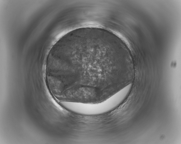 X0000093471383200711021222