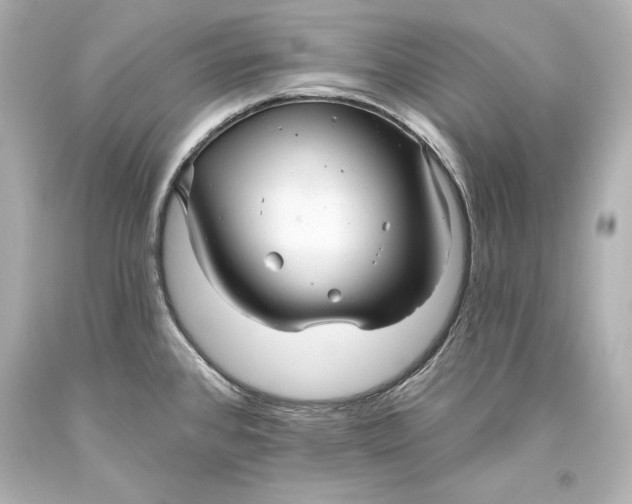 X0000093471384200711021222