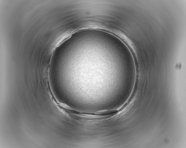 X0000093471385200711021222