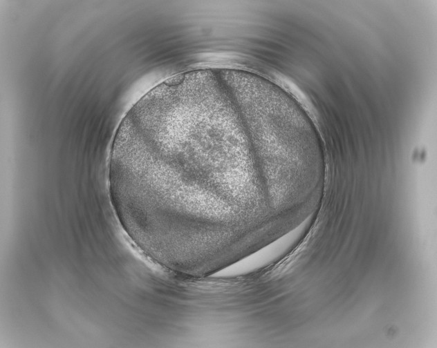 X0000093471386200711021222