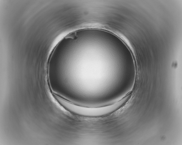 X0000093471389200711021222