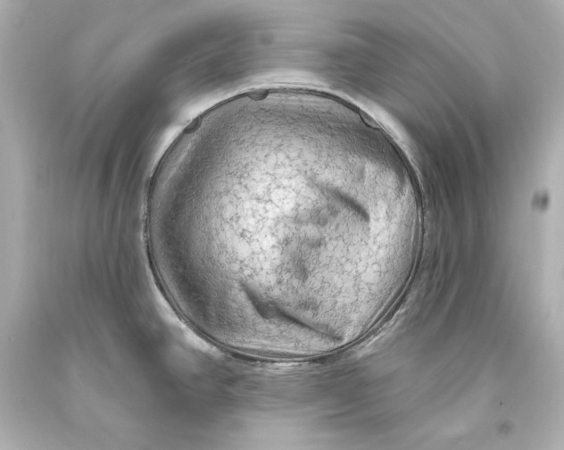 X0000093471390200711021222