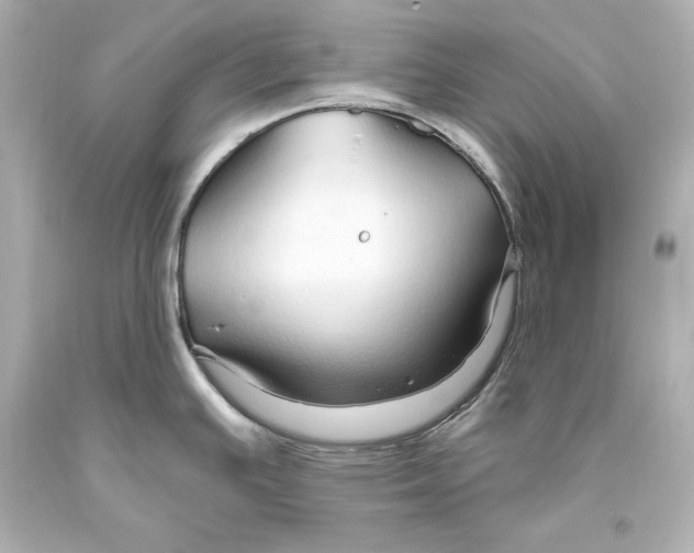 X0000093471391200711021222