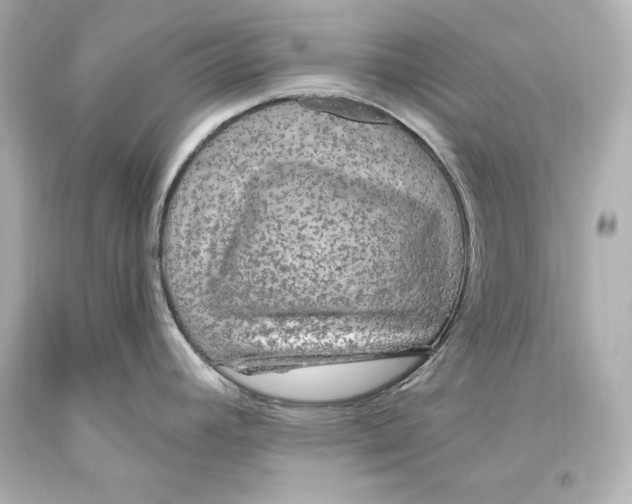 X0000093471392200711021222