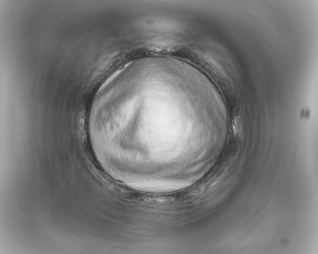 X0000093471396200711021221