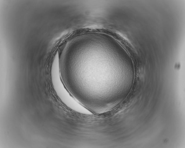 X0000093471398200711021221