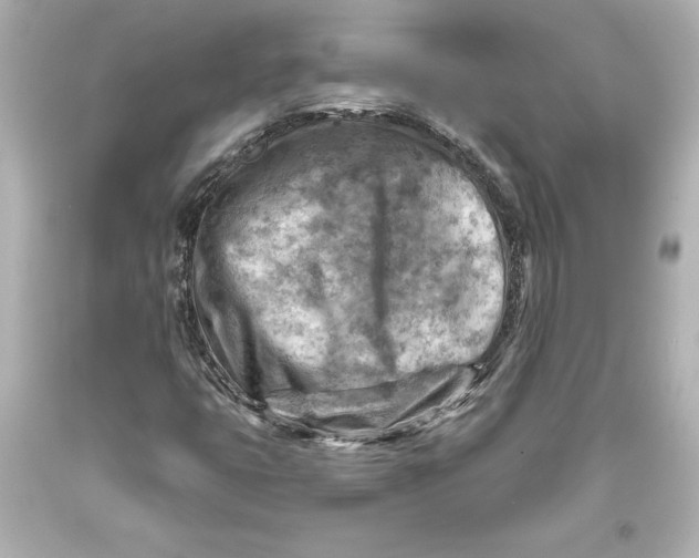 X0000093471399200711021221