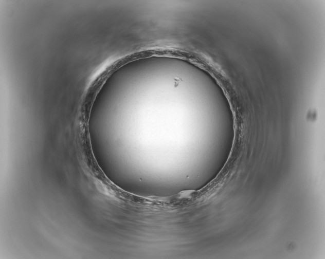 X0000093471400200711021221