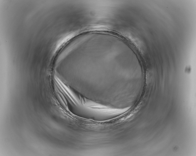 X0000093471405200711021221