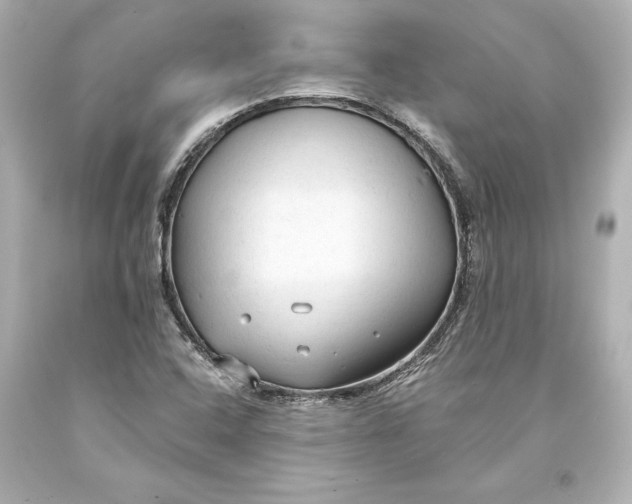 X0000093471408200711021221