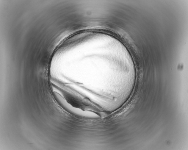 X0000093471409200711021221