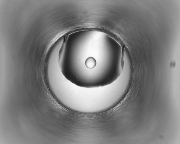 X0000093471410200711021221