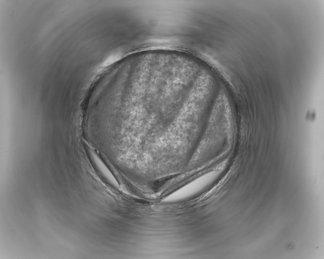 X0000093471411200711021221