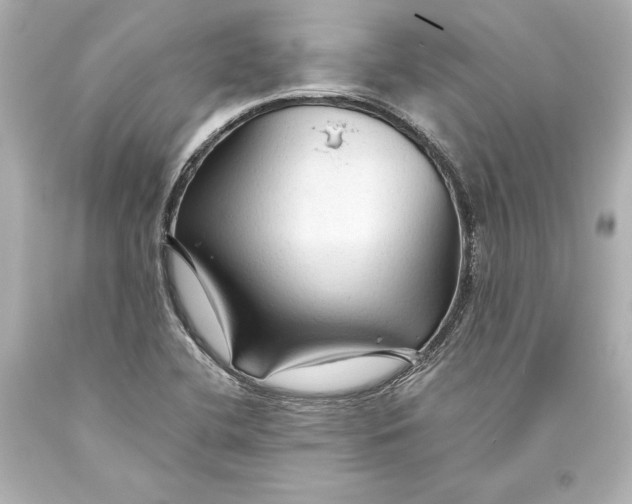 X0000093471412200711021221