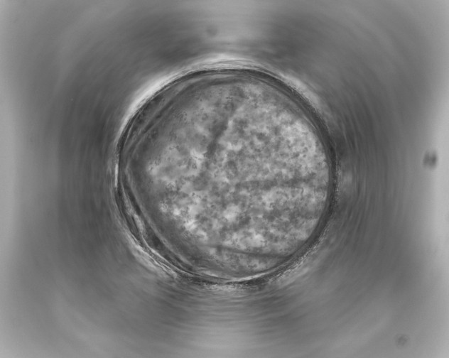 X0000093471413200711021221