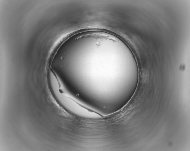 X0000093471416200711021221