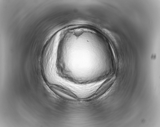 X0000093471417200711021221