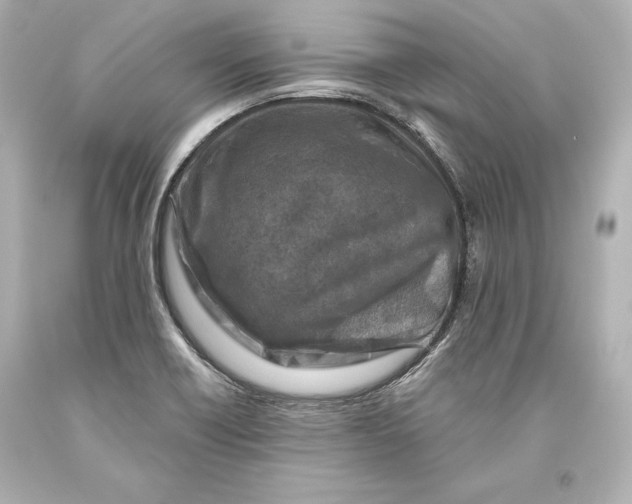 X0000093471418200711021222