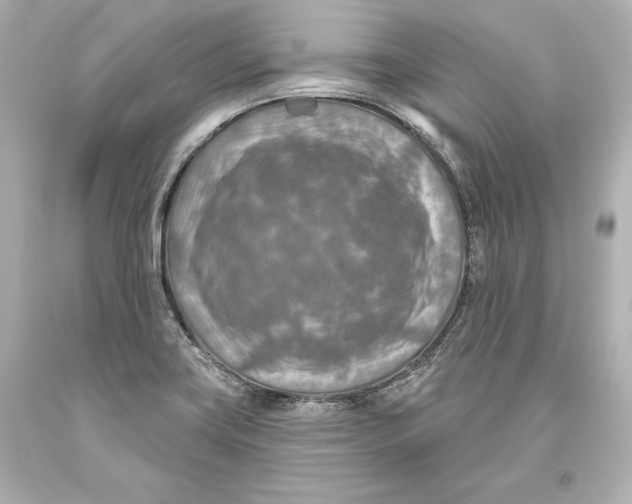 X0000093471419200711021222